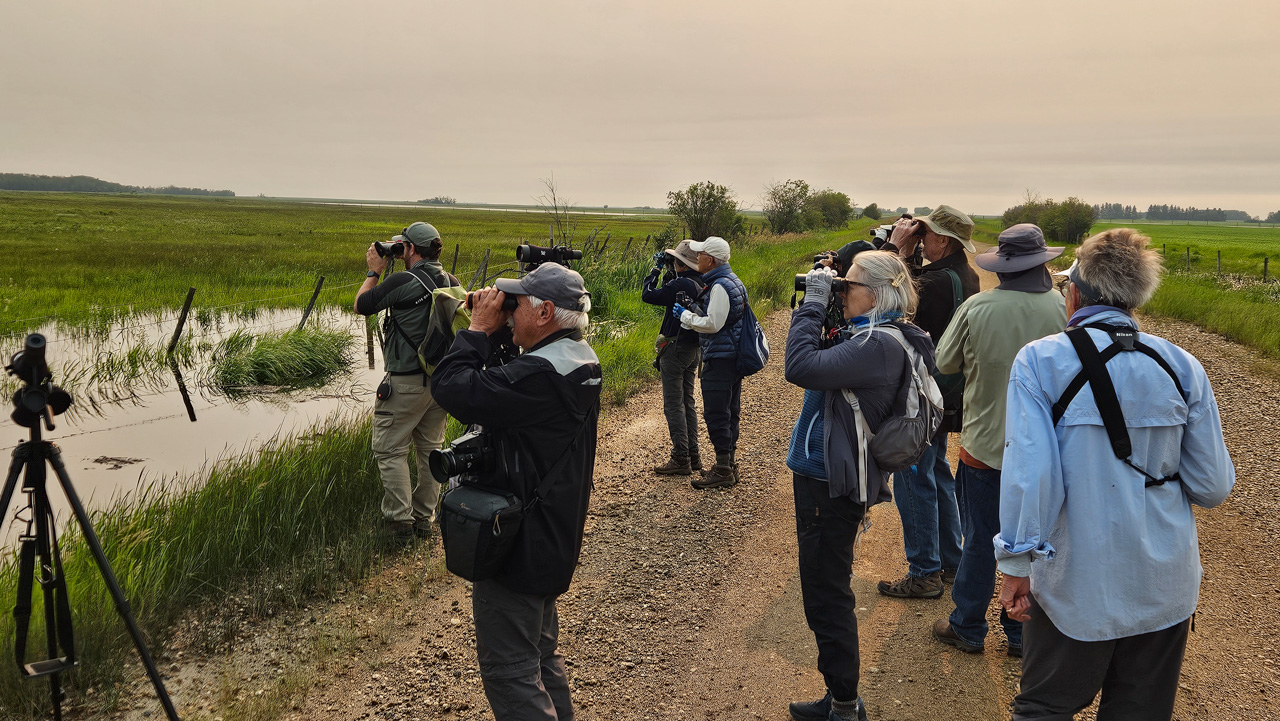 Birding the wetlands