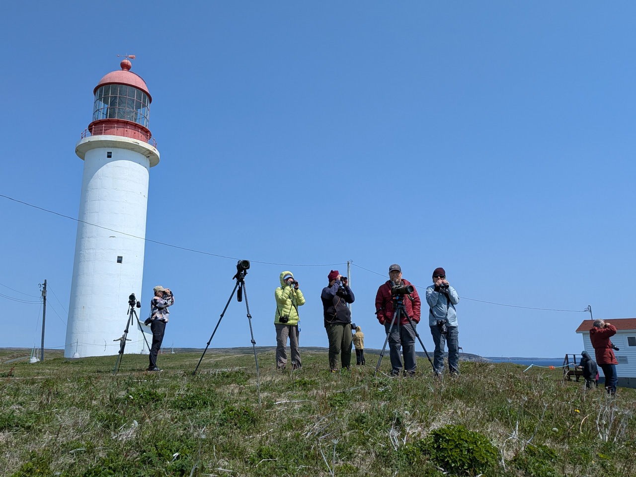 Cape Race