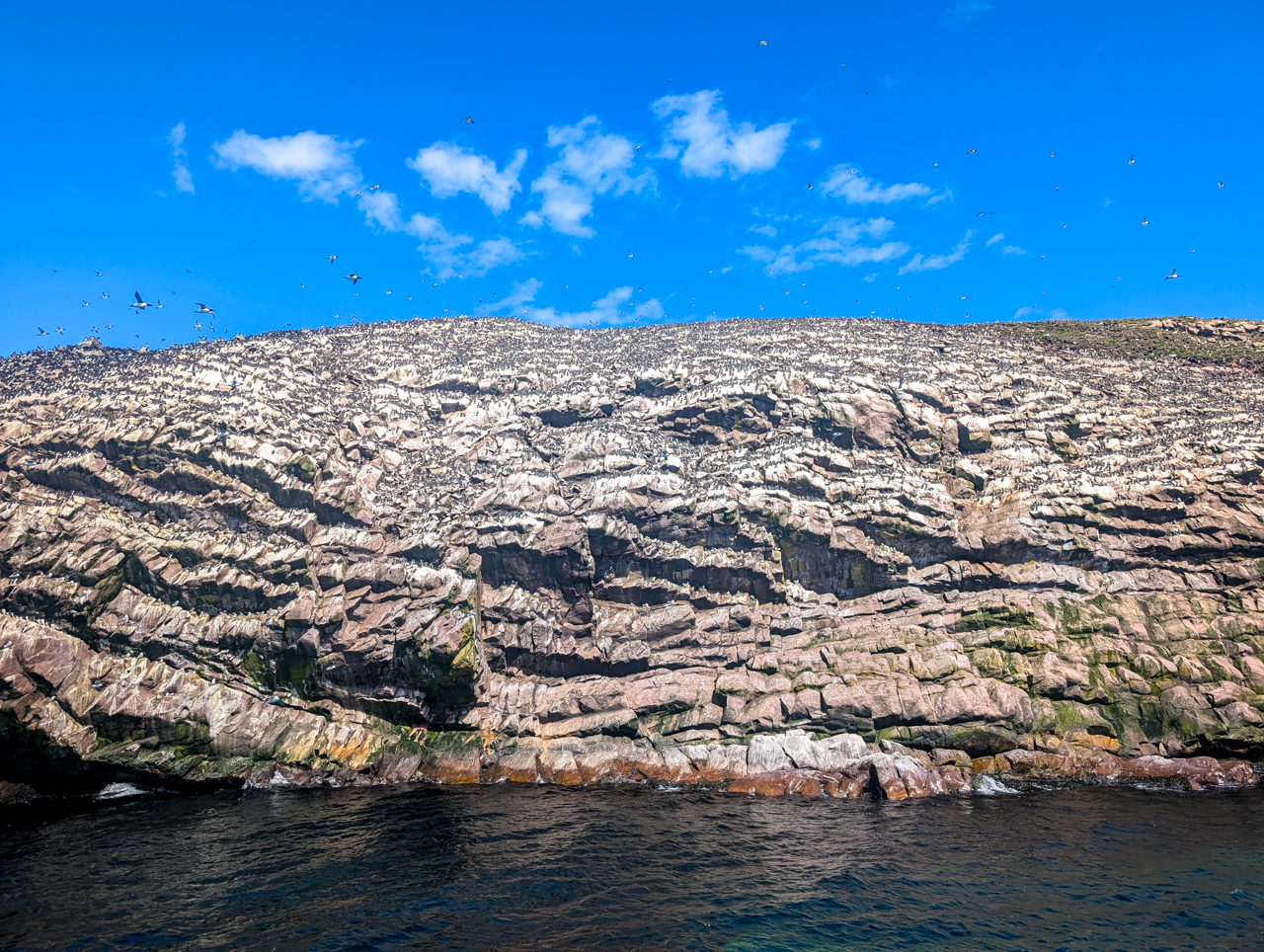 Gull Island