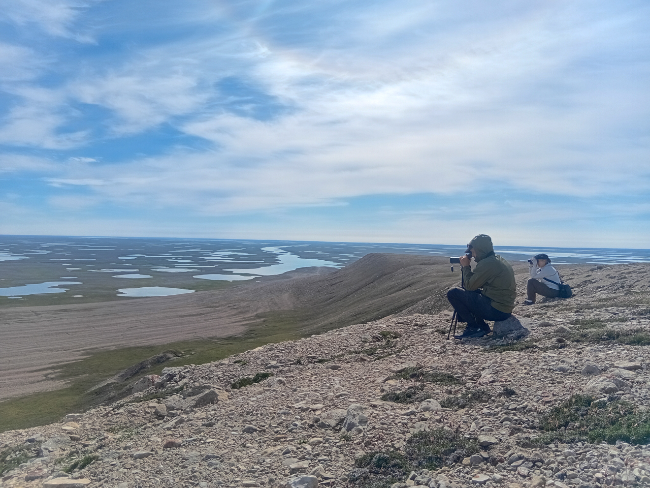 Mount Pelly