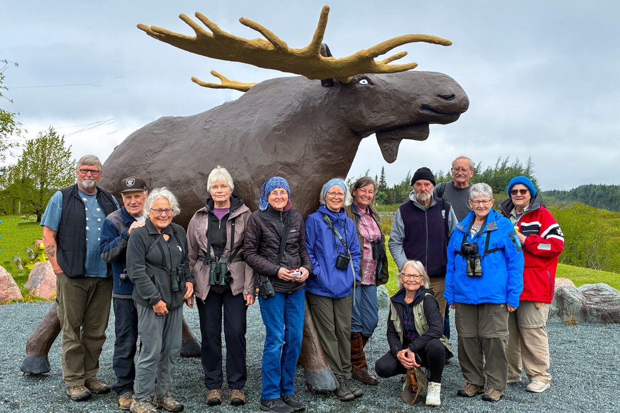 The Goobies Moose