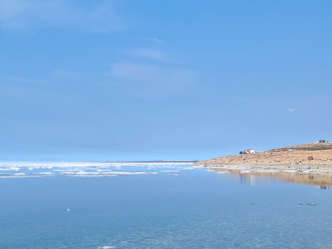 The coast near Cambridge Bay 