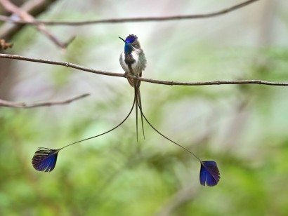 Northern Peru