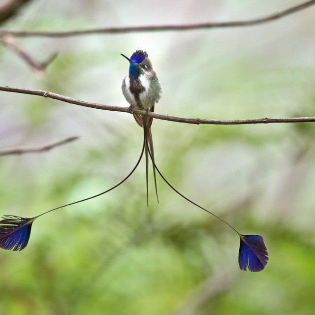 Northern Peru