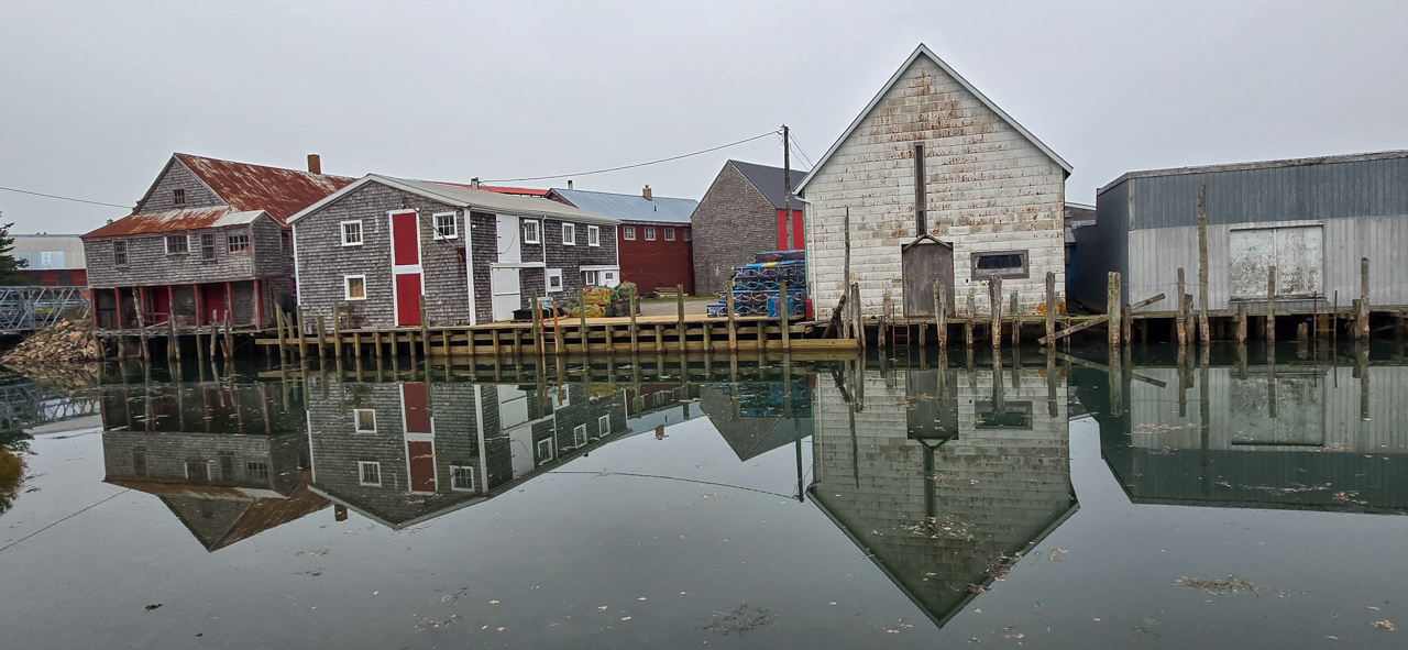 Seal Cove