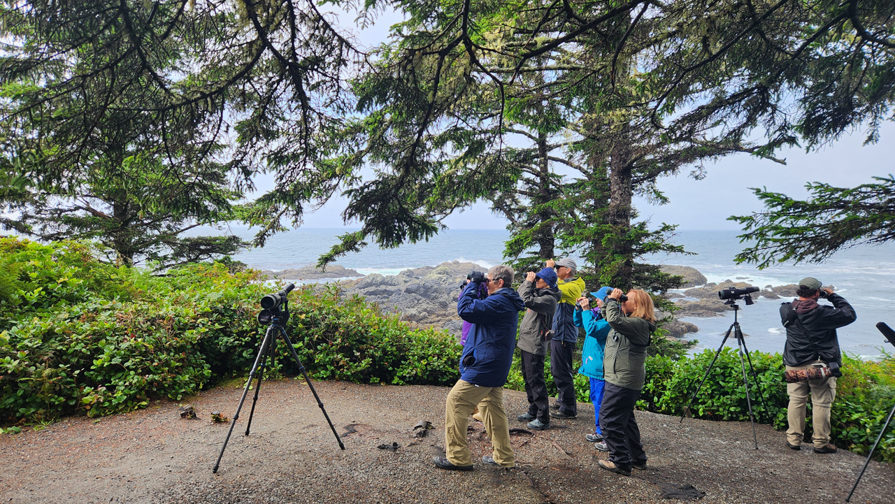 Birding Pacific Rim