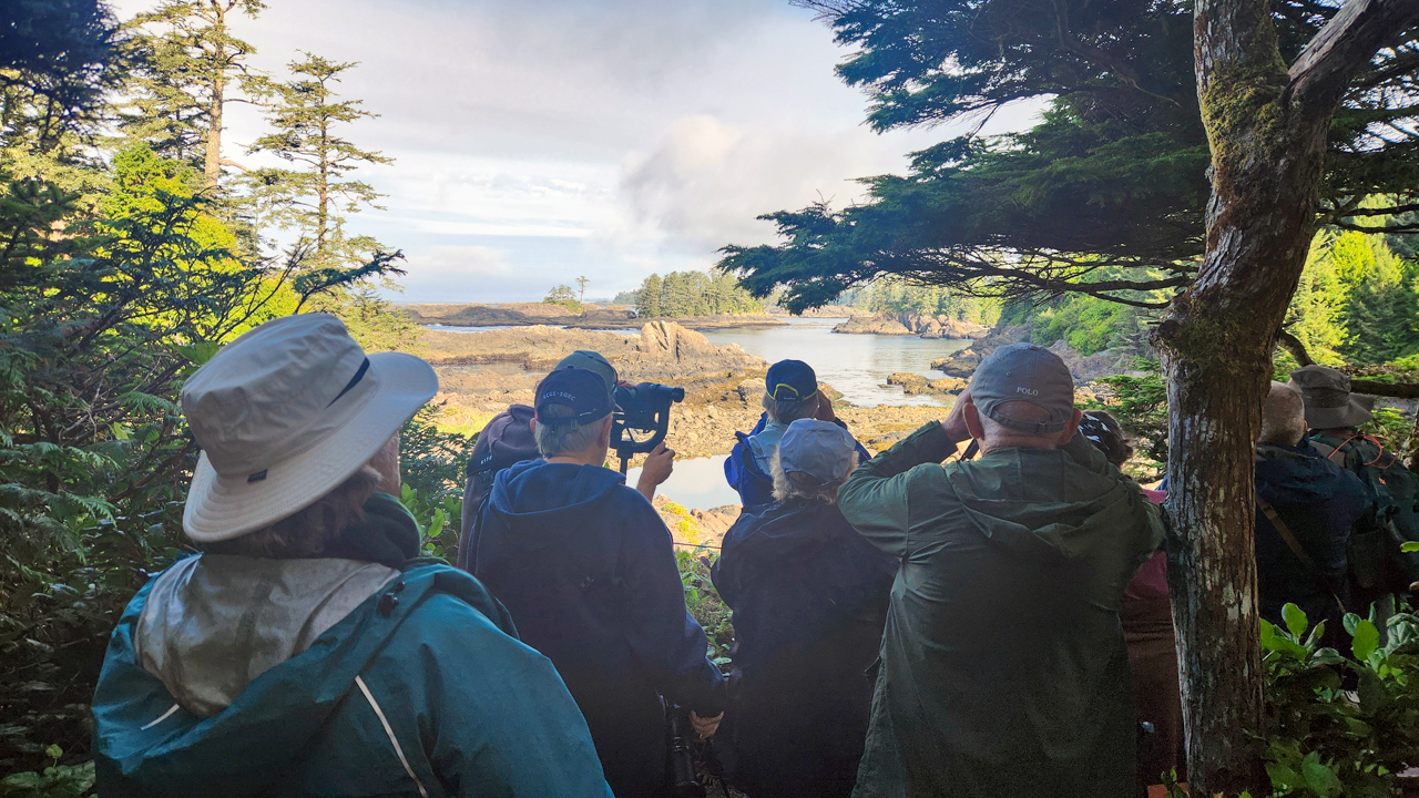 Birding at Amphitrite Lighthouse