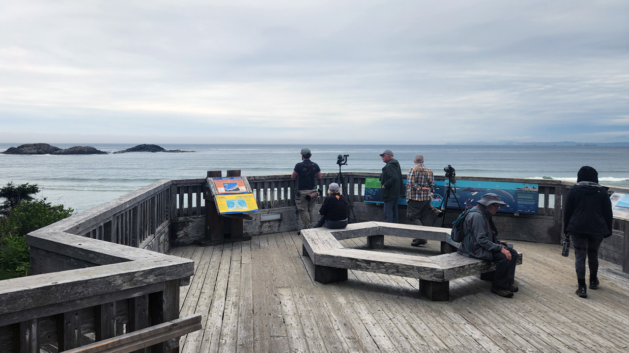 Birding at Kwistis Visitors Centre