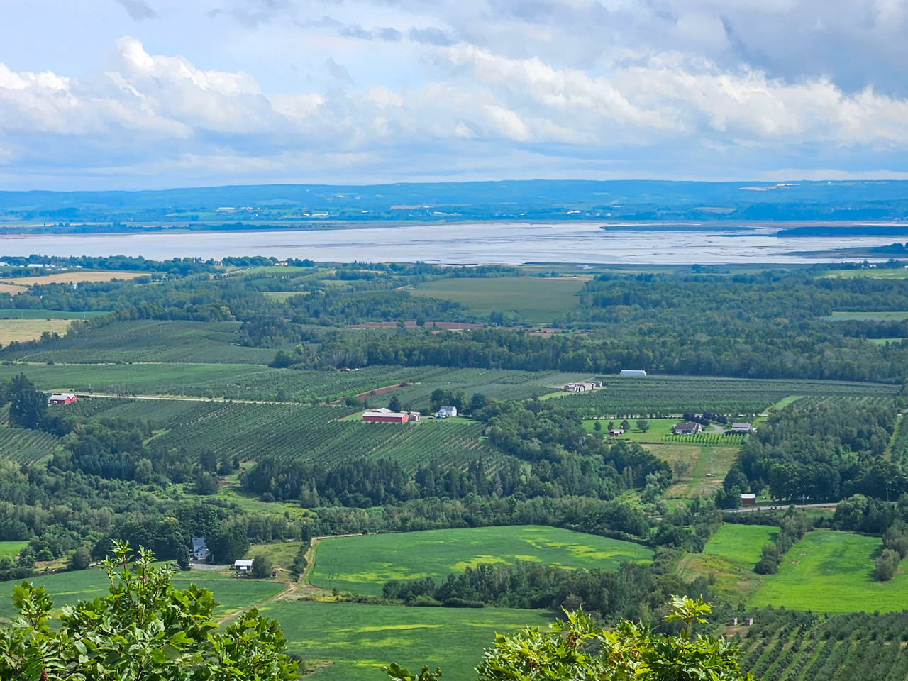 Bird's Eye View of the Annapolis Valley