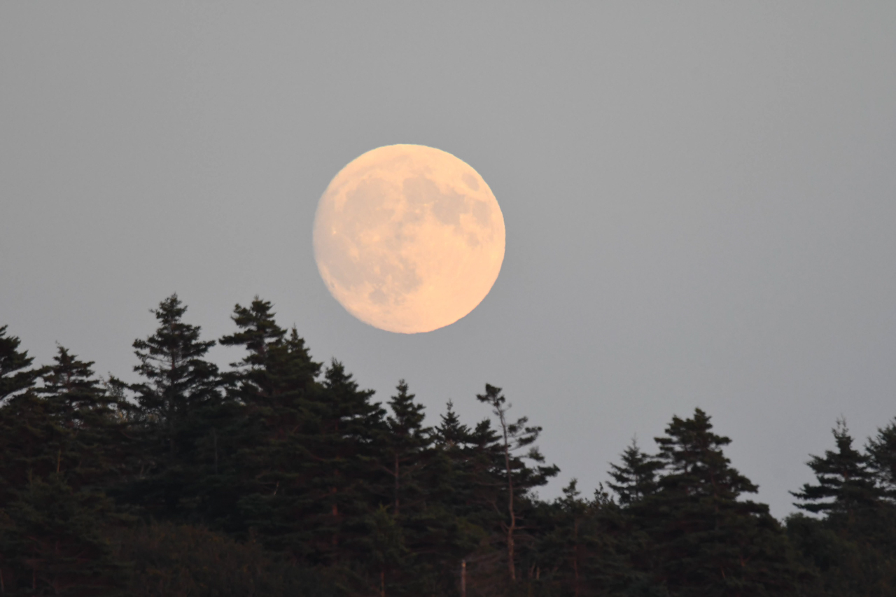 Full Moon Rising