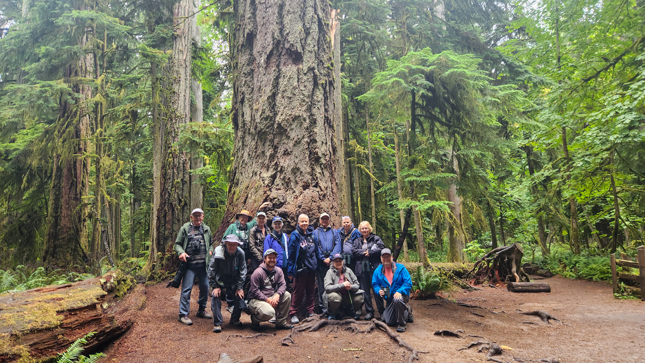 Group Cathedral Grove Jared