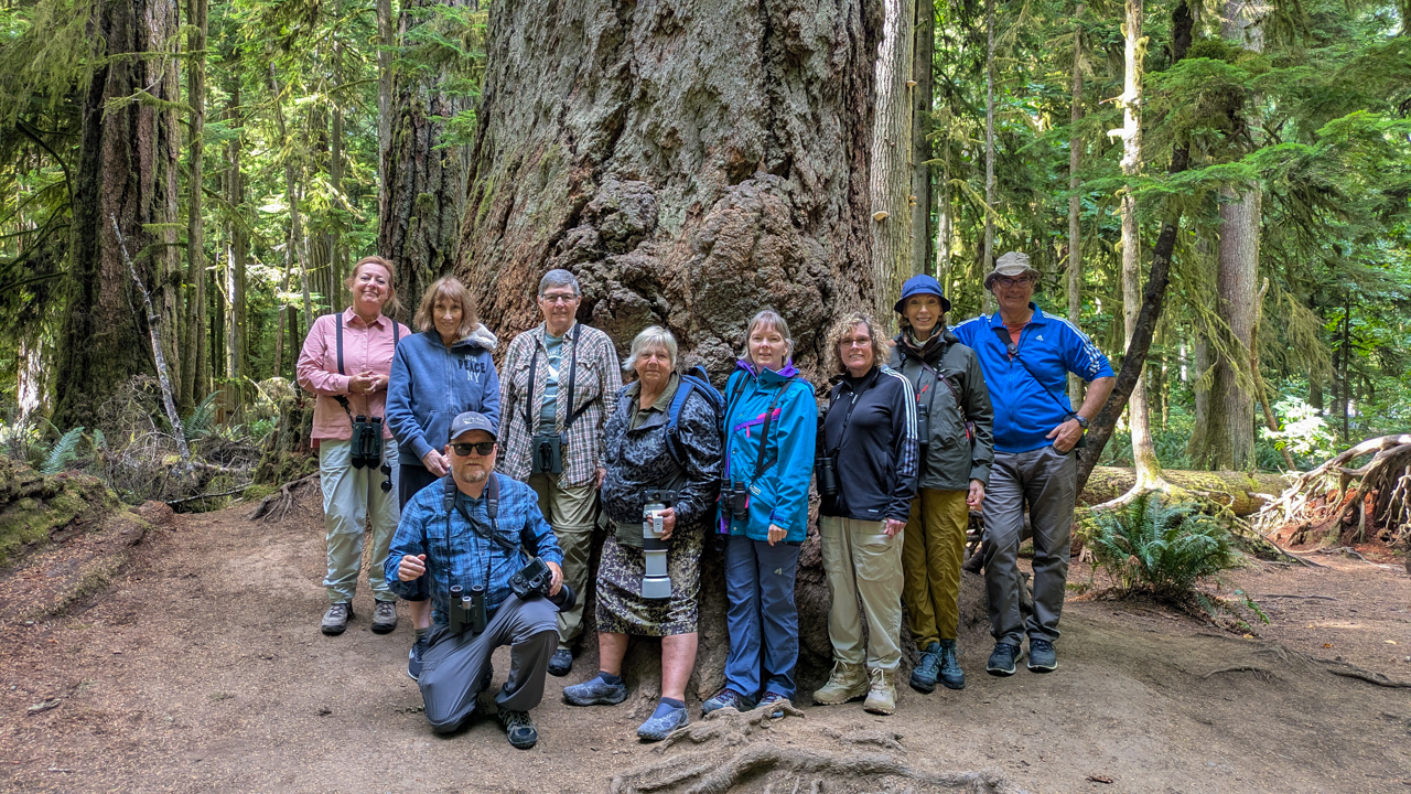 BC Birding Group