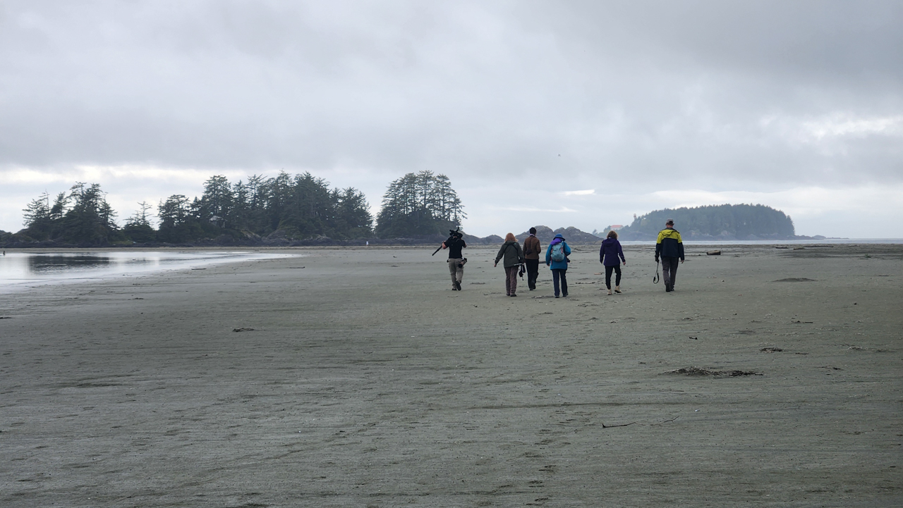 Birding on Long Beach