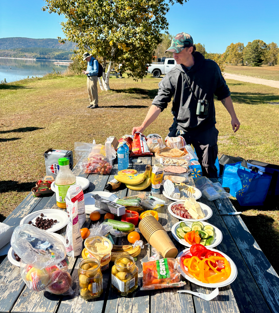 Picnic lunch