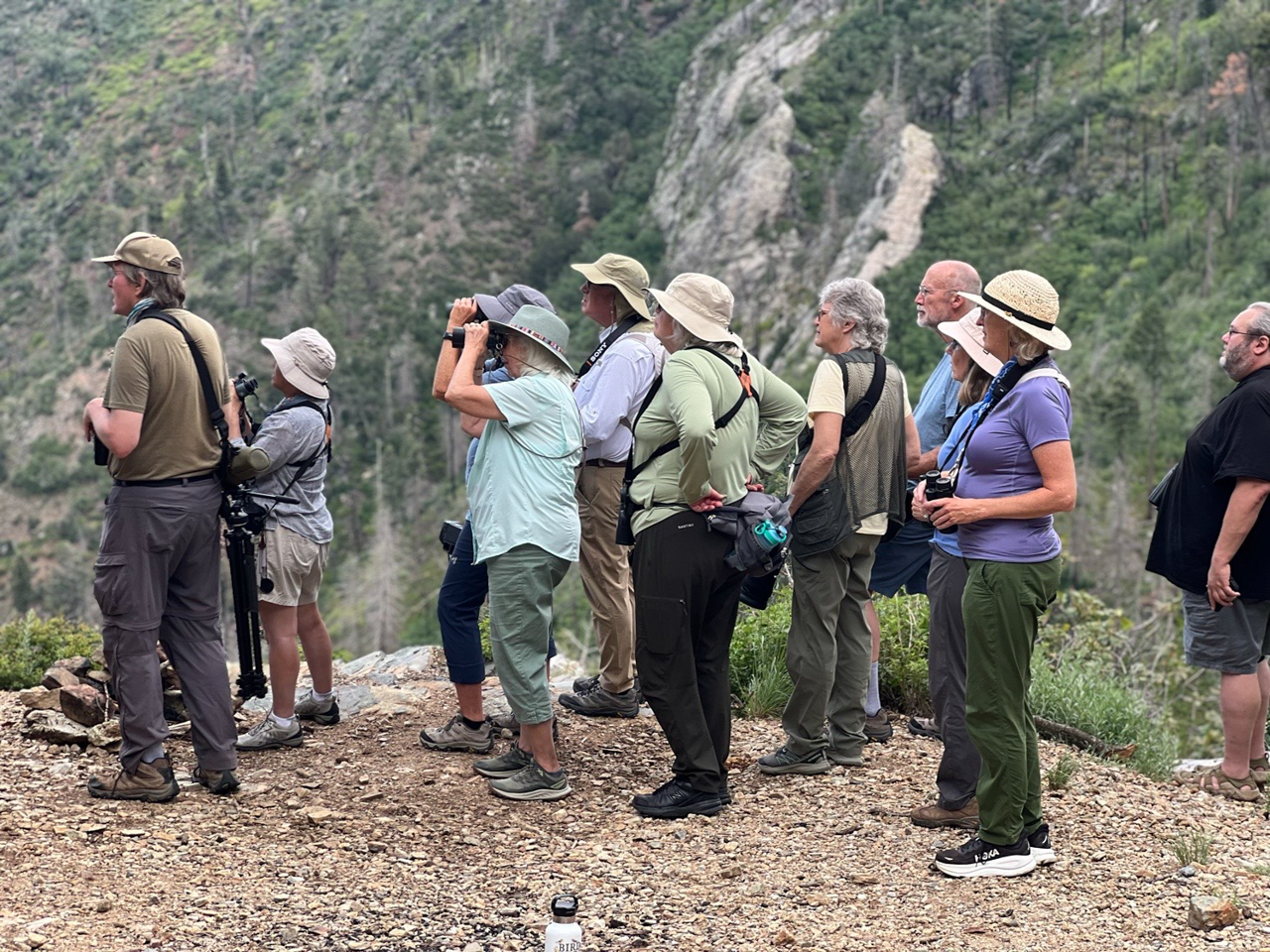 Birding group Arizona