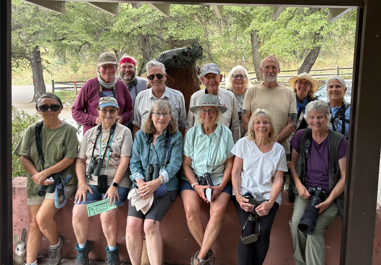 Arizona birding tour