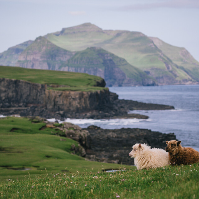 Tindhólmur