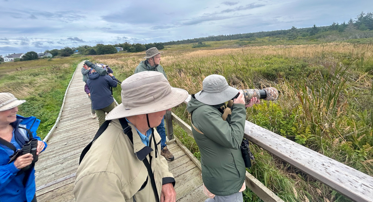 Big Meadow Bog 