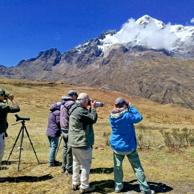 Birding Abra Malaga