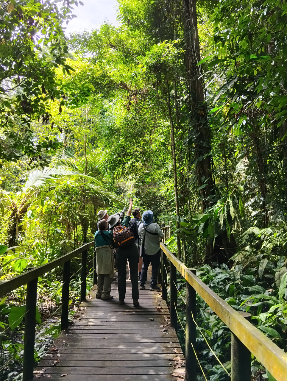 Birding Cahuita National Park