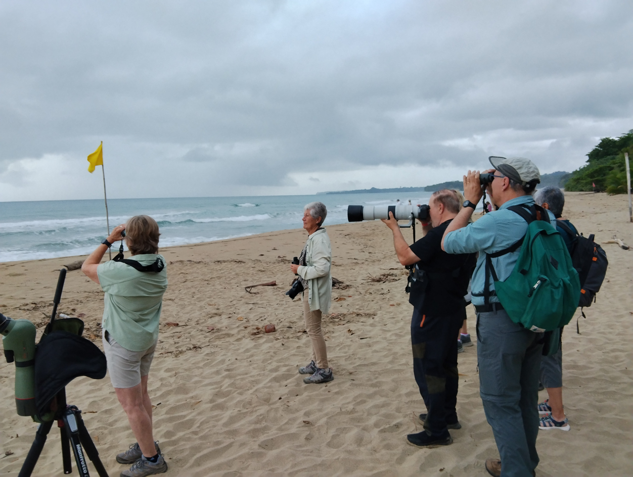 Birding Cocles Beach