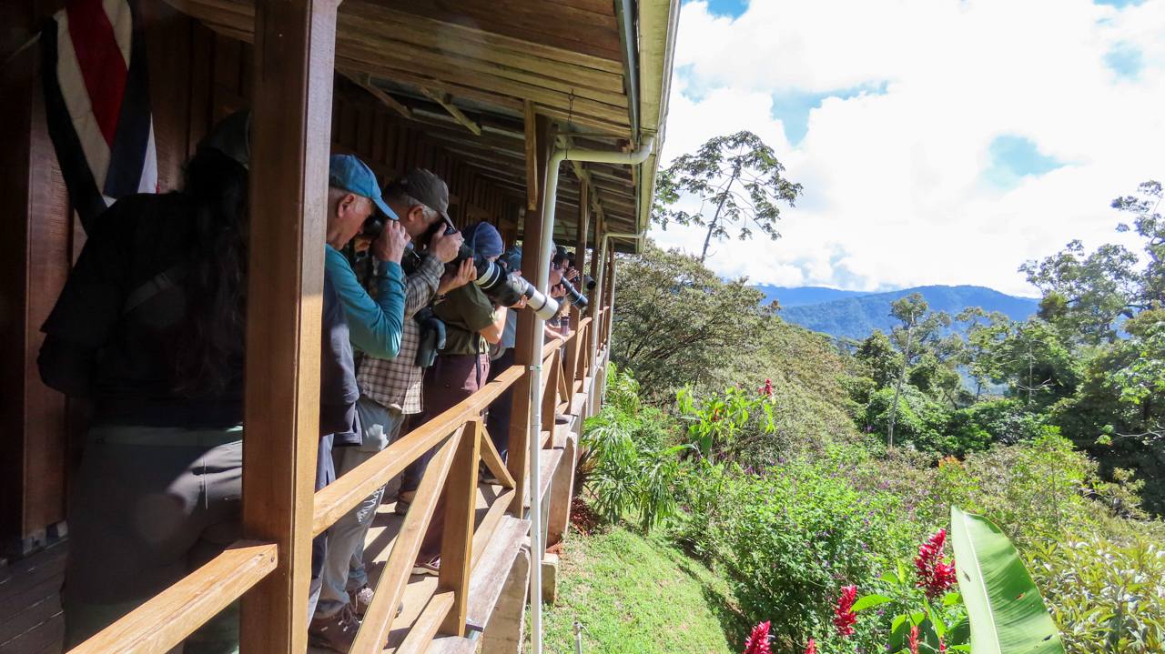 Birding El Copal
