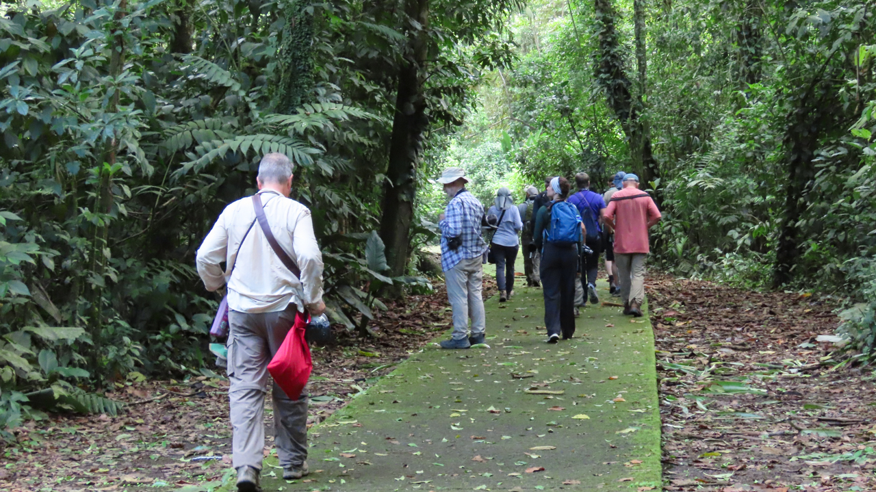 Birding La Selva
