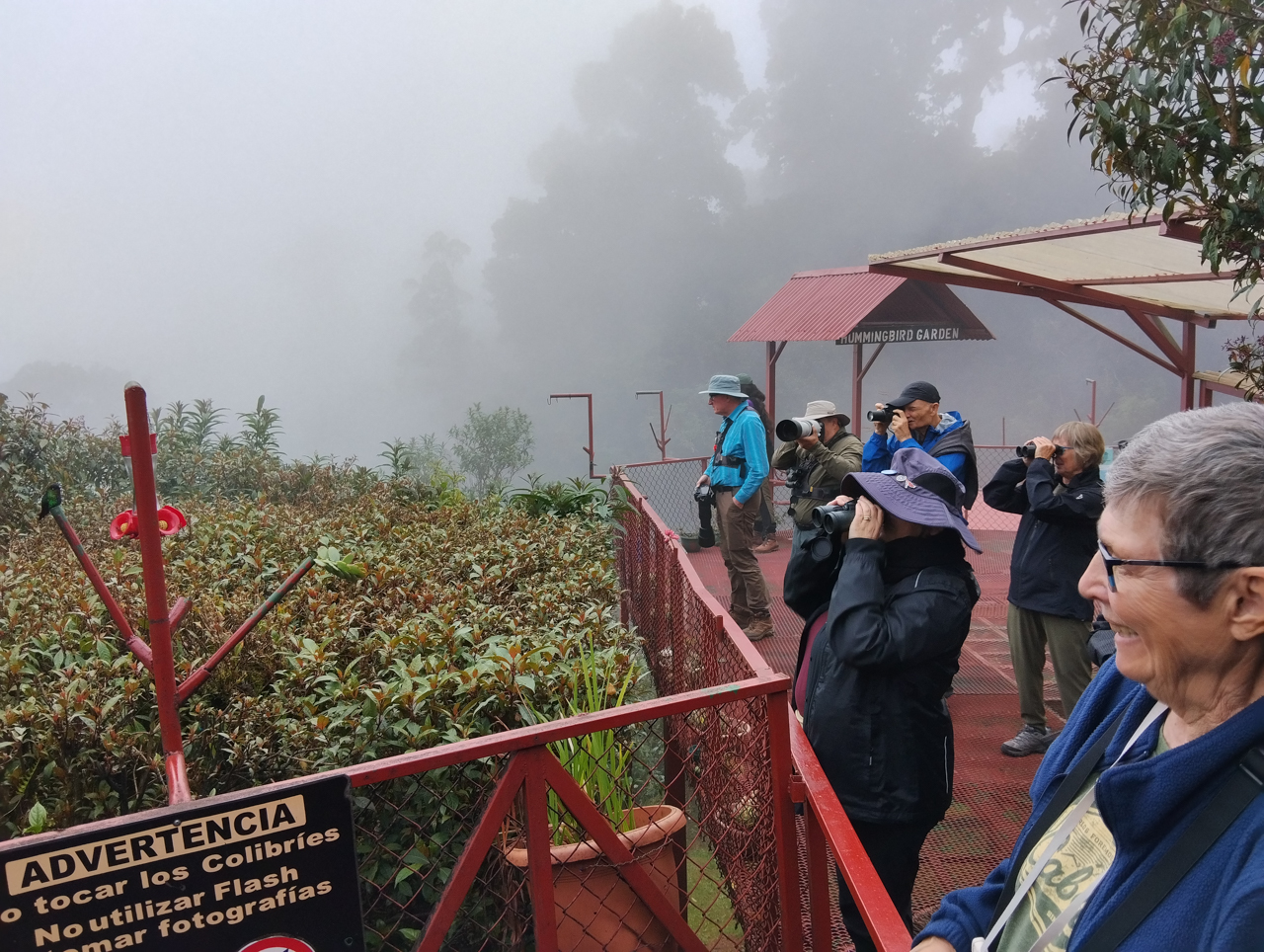 Birding Paraíso del Quetzal