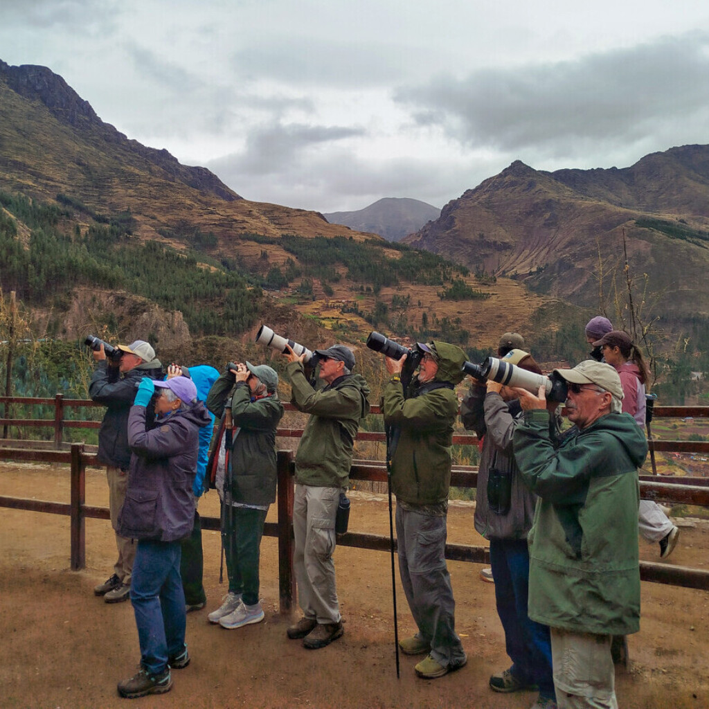 Birding Pisaq