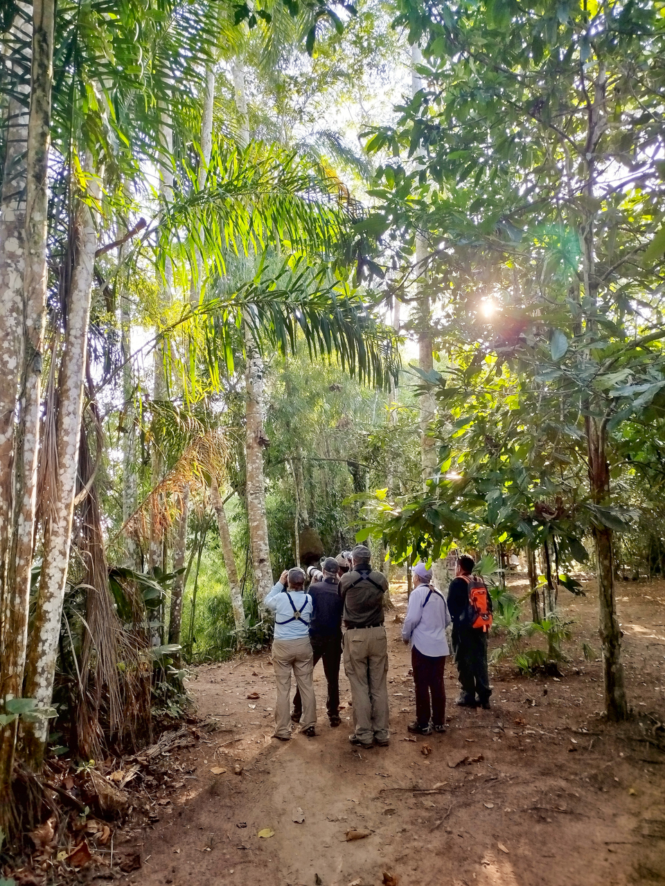 Birding Sachavacayoc