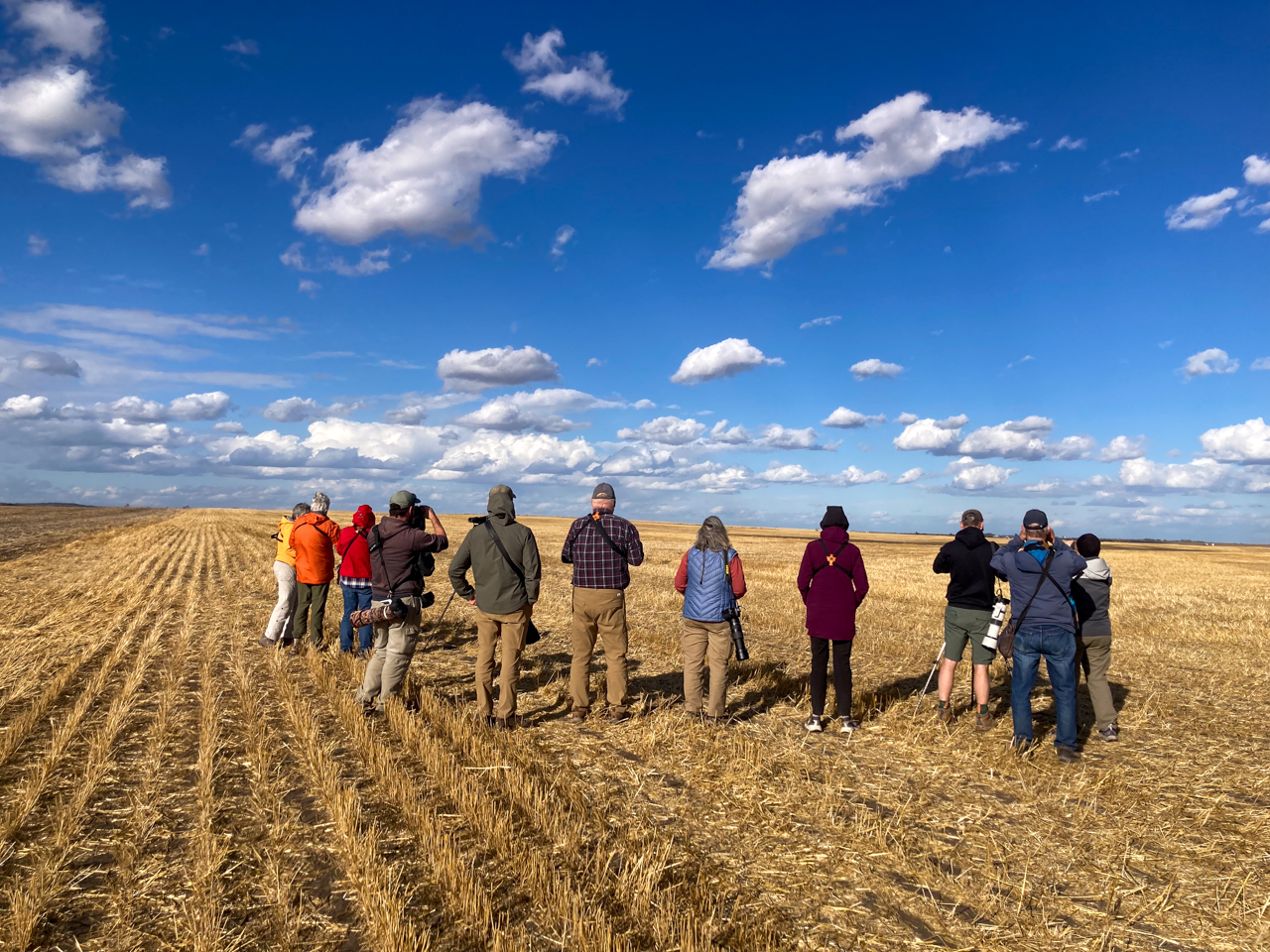 Birding in Saskatchewan