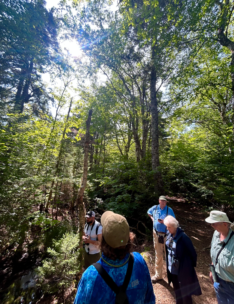 Birding in Nova Scotia