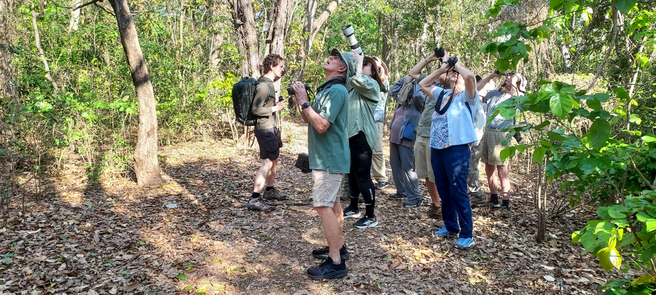 Birding at Buffalo Creek