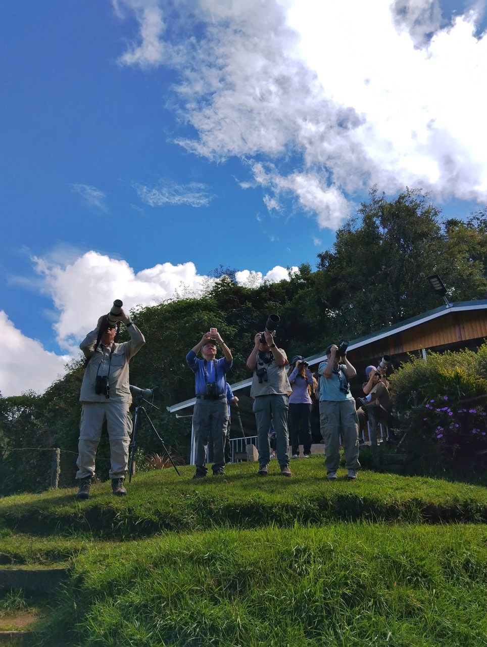 Birding the highlands