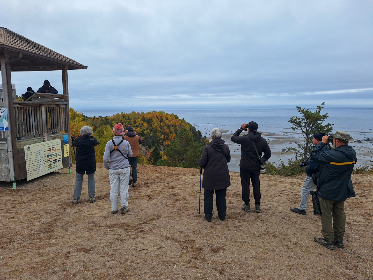 Birding the Tadoussac Dunes