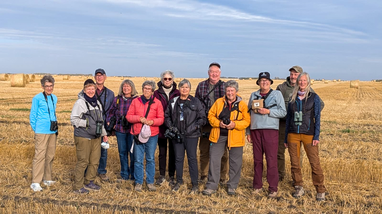 Saskatchewan Cranes & Geese birding tour