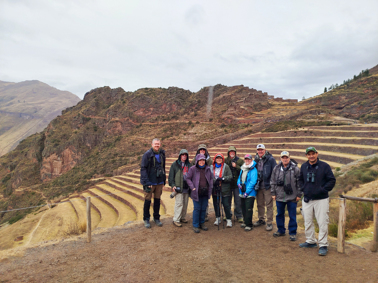 Southern Peru birding tour