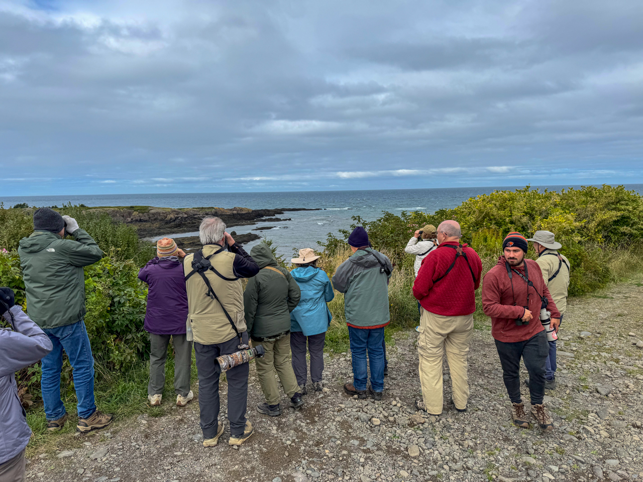 Looking at Grey Seal, at Peajack Cove