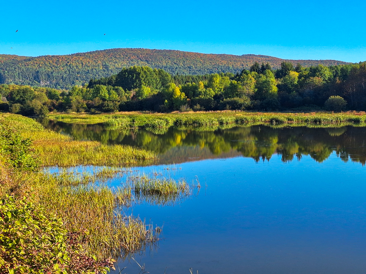Quebec in Fall Trip Report (Sep 22 – Oct 1, 2026)