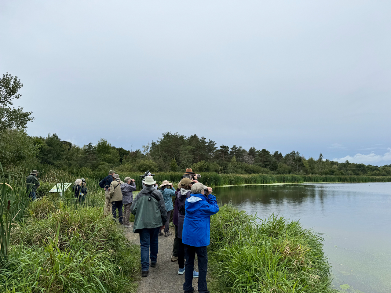 Marsh birding at French Basin Trail