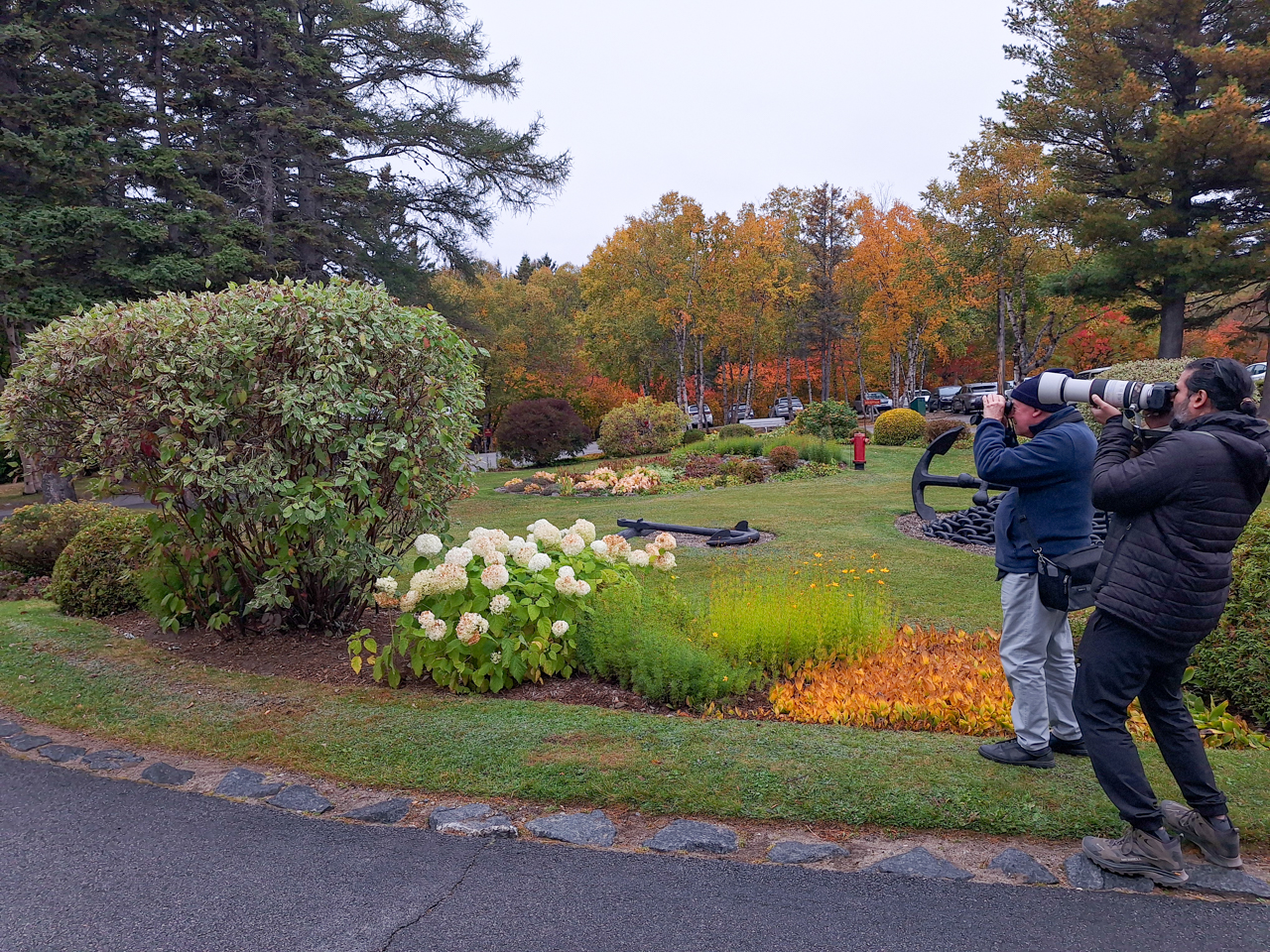 Photographing a Northern Parula