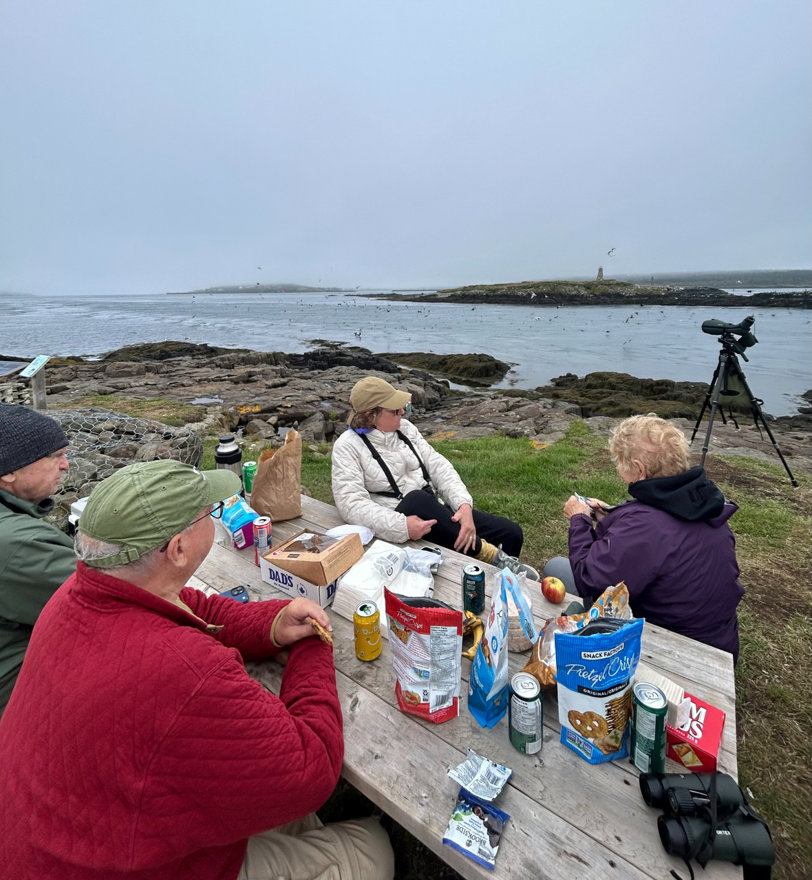 Post-Lunch Snacks + Bird Feeding Frenzy - Joshua Slocum Monument, Brier Island