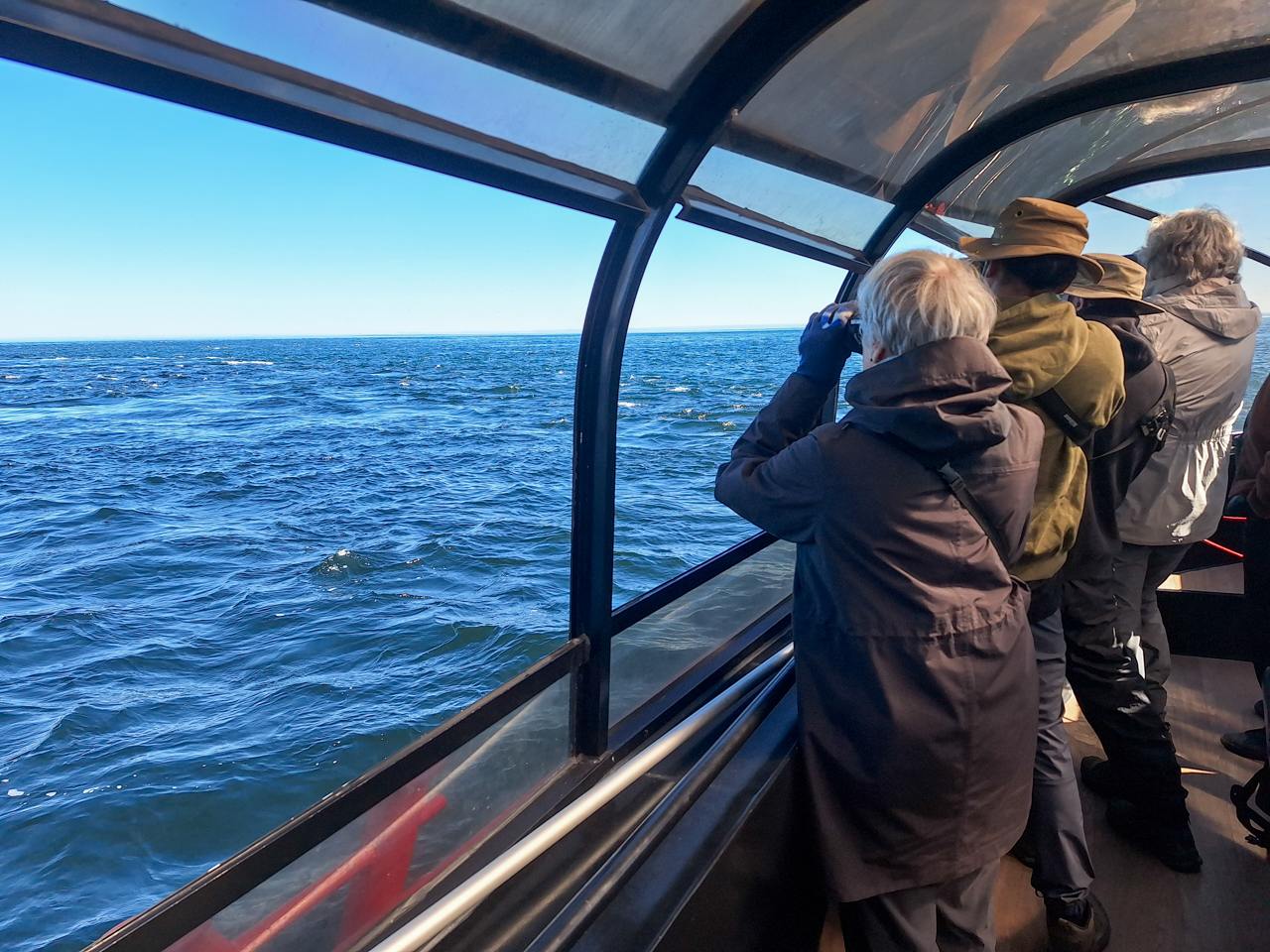 Quebec in Fall Trip Report (Sep 22 – Oct 1, 2026)