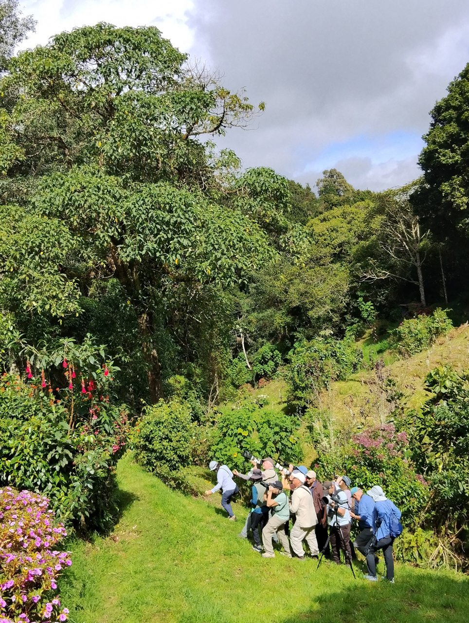 Watching Quetzals in Costa Rica