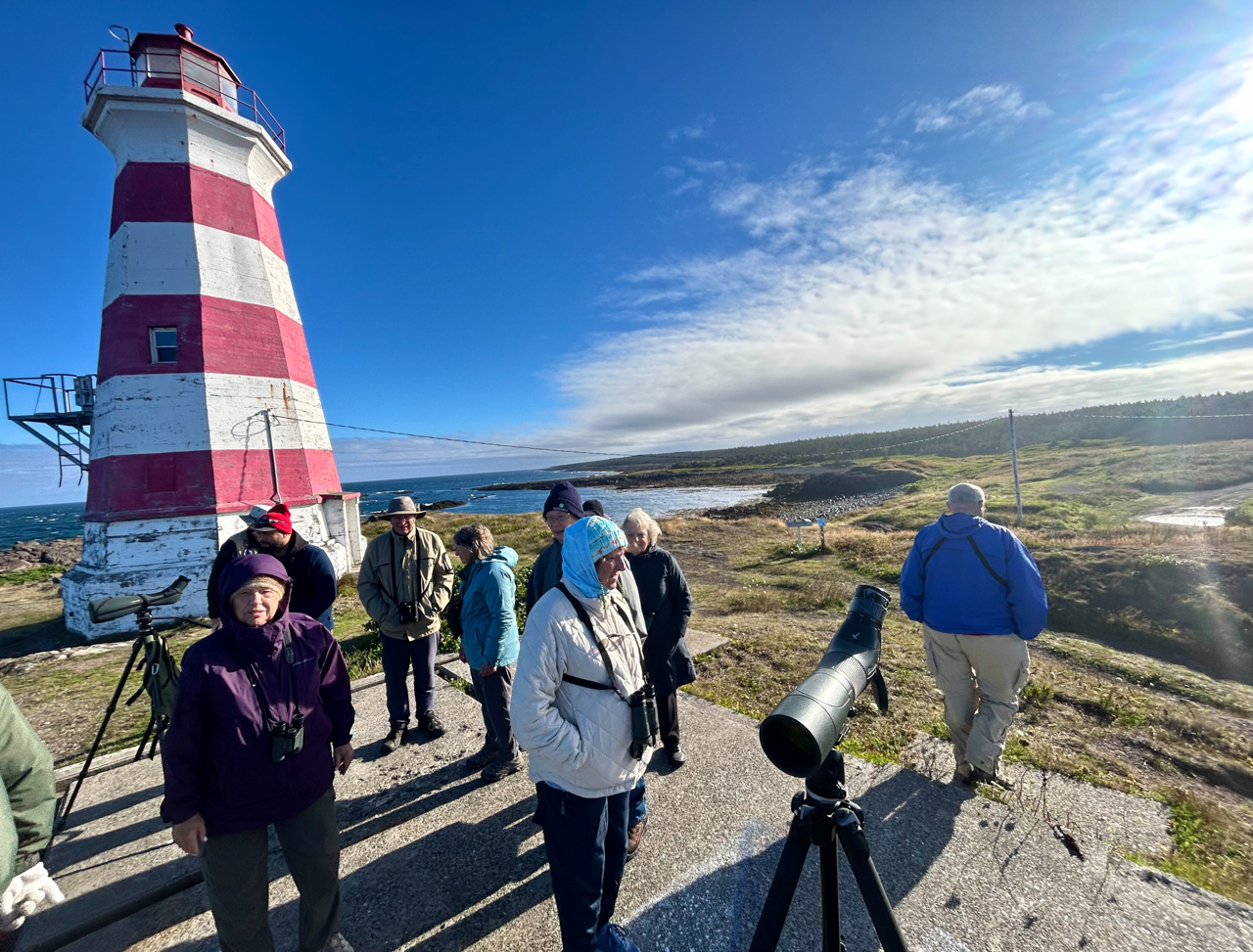 Birding at Western Lighthouse